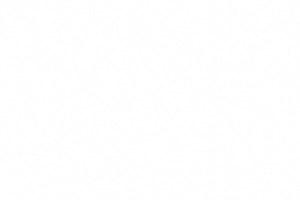 A1